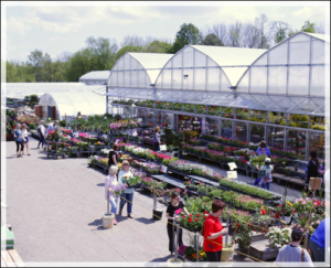 Garden Centre in Oshawa, Greenhouse in Oshawa, Flowers & Plants in Oshawa, Gardening in Oshawa, Florist in Oshawa