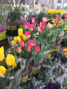 Bright Pink Tulip Bouquets