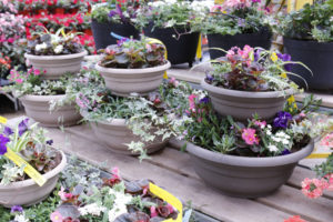 two tier planters